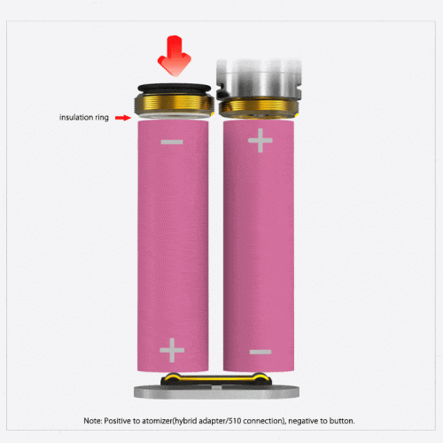 Wismec Noisy Cricket By JAYBO