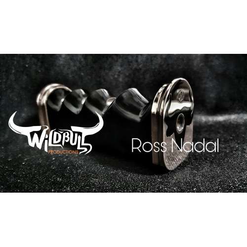 Wild bull by Ross Nadal Pasiphae RDA, Bison Box and series tube